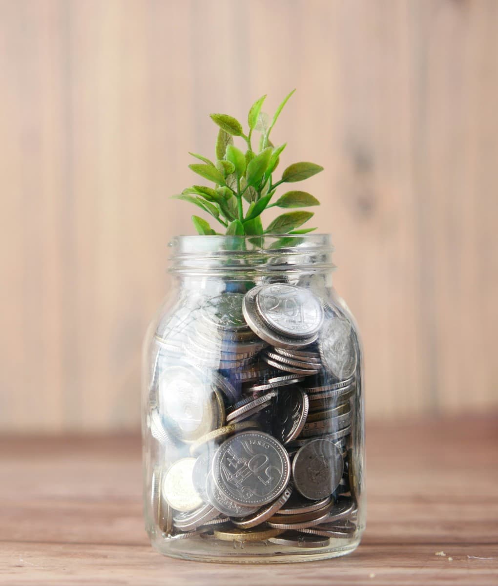 Investment